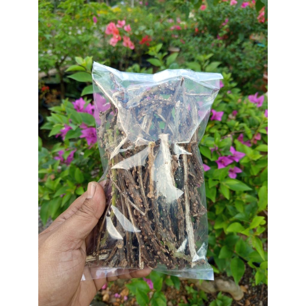 

butrowali kering berat 100g herbal alami asli butrowali hutan