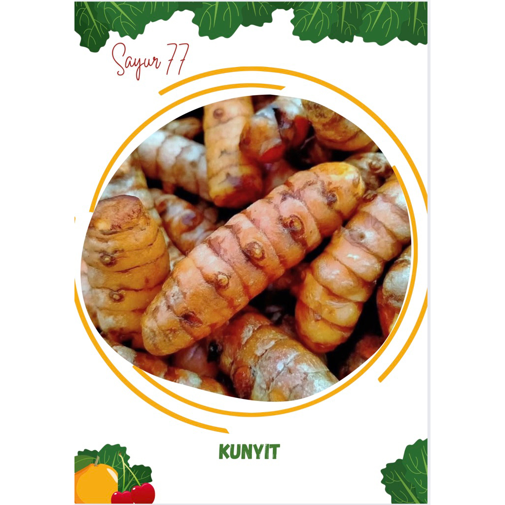 

KUNYIT