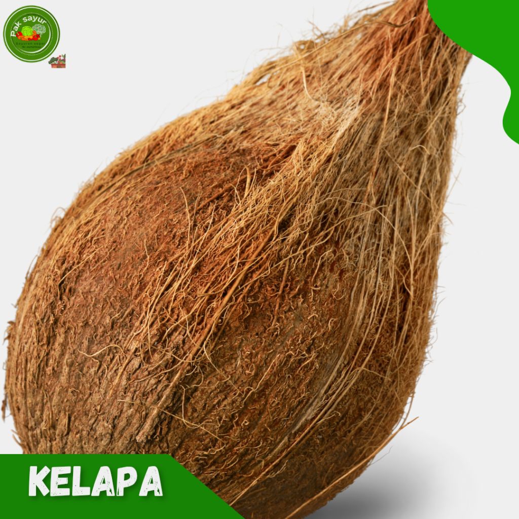 

Kelapa Kupas 1 Buah , Kelapa Tanpa Sabut , Kelapa Kupas / Tanpa Kulit,Coconut