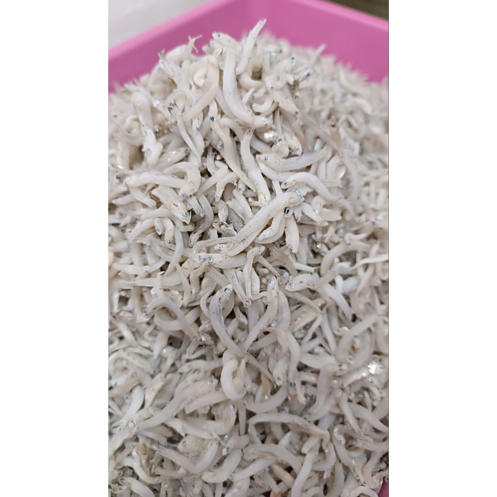 

Ikan Asin_Teri Nasi_Teri Medan_Ikan Asin Teri Nasi Medan