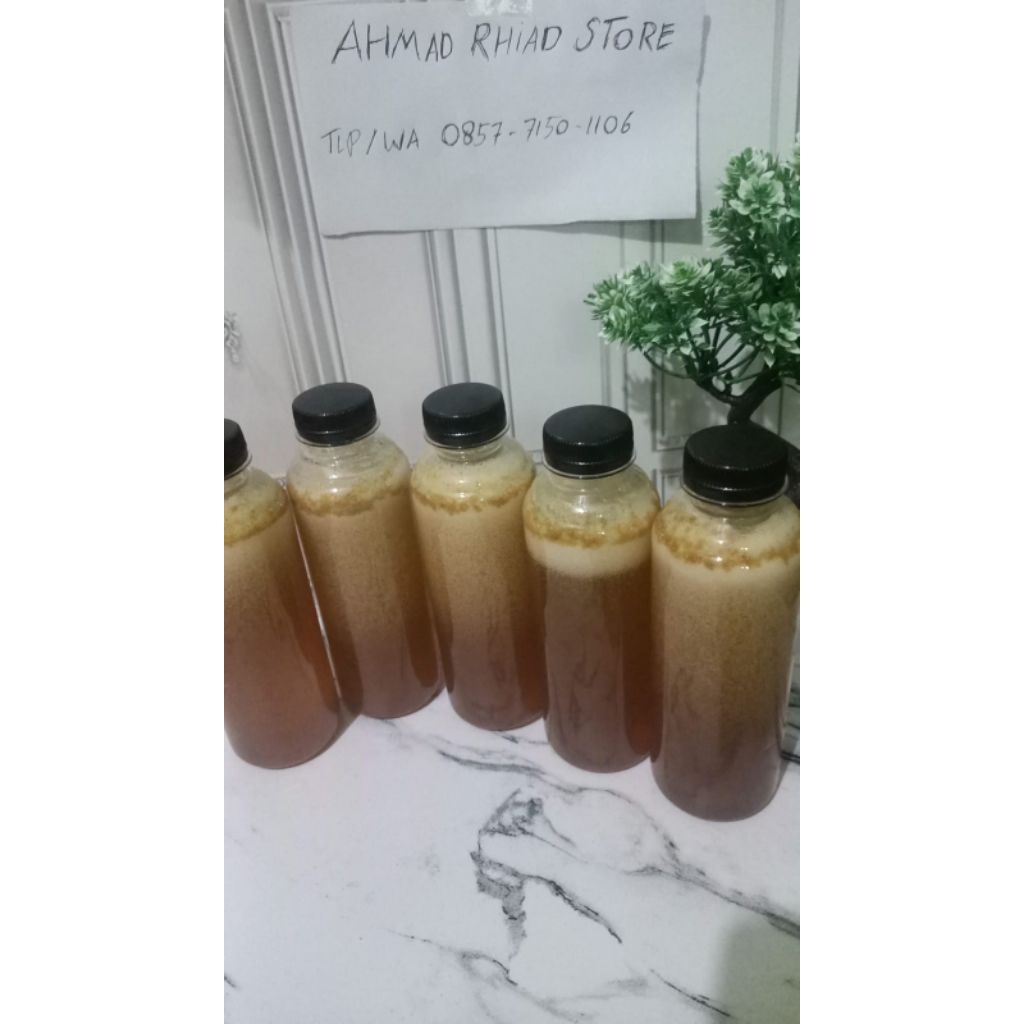 

*MADU LEBAH ASLI ( ORIGINAL )*