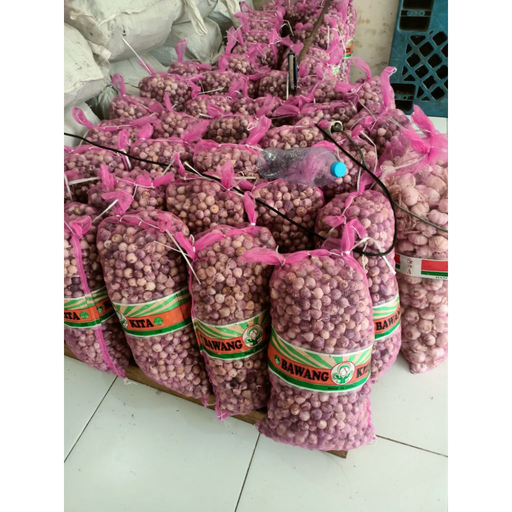 

bawang laki super