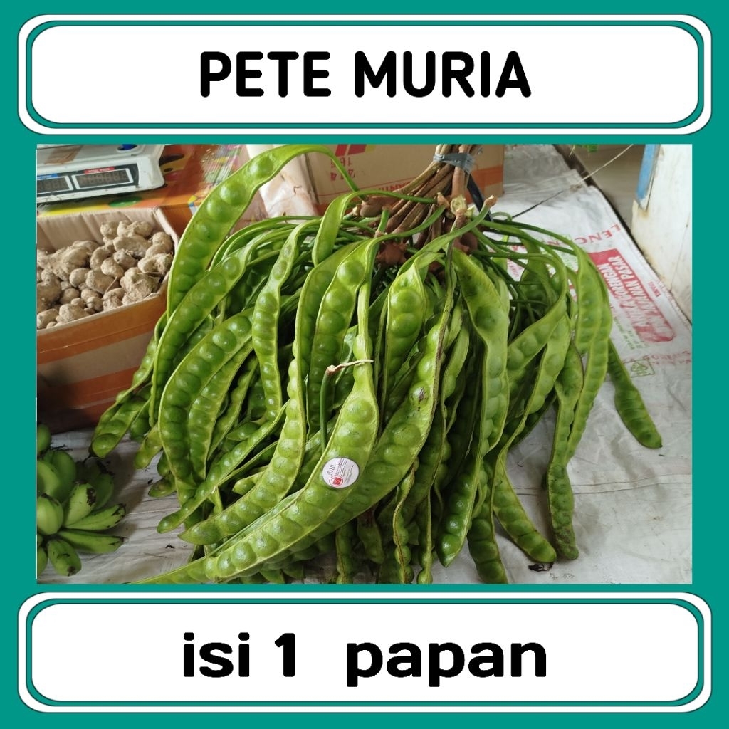 

pete 1papan