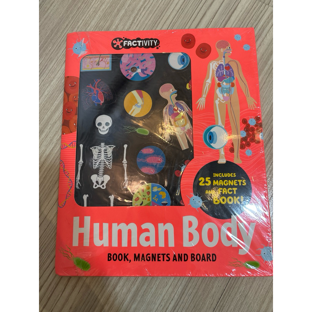 HUMAN BODY FACTIVITY