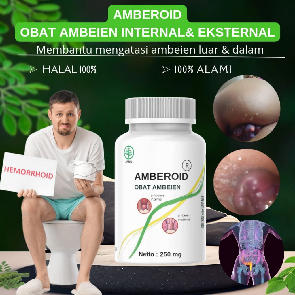 AMBEROID Ambeien stadium 4 herbal ambeien luar dan dalan paling ampuh berdarah wasir benjolan ambeie