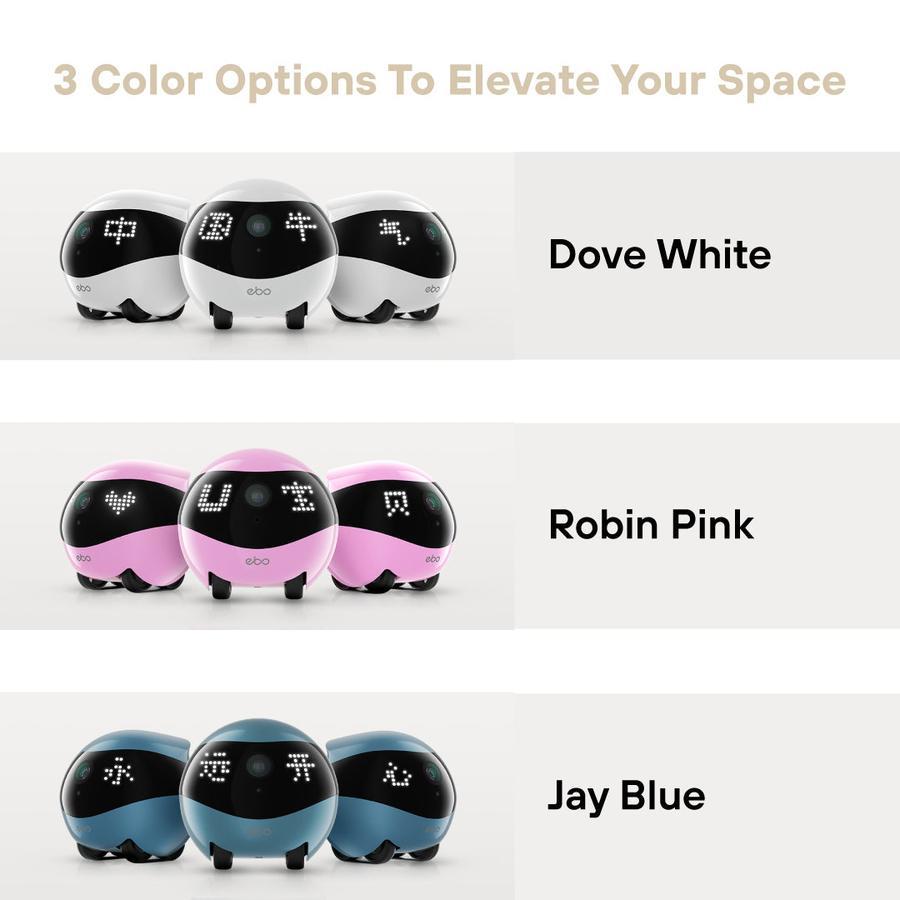 Enabot Ebo Air 2 Original