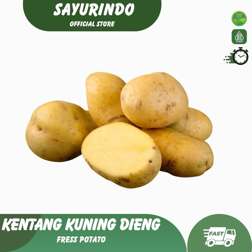 

KENTANG KUNING DIENG