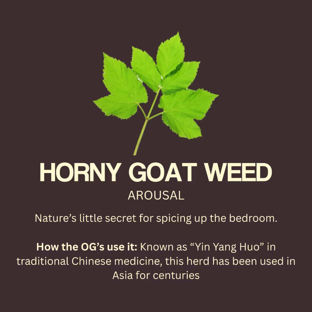 

QH Hush Chocolate Dark Chocolate for Couple 32 gram Aman dan Efektif