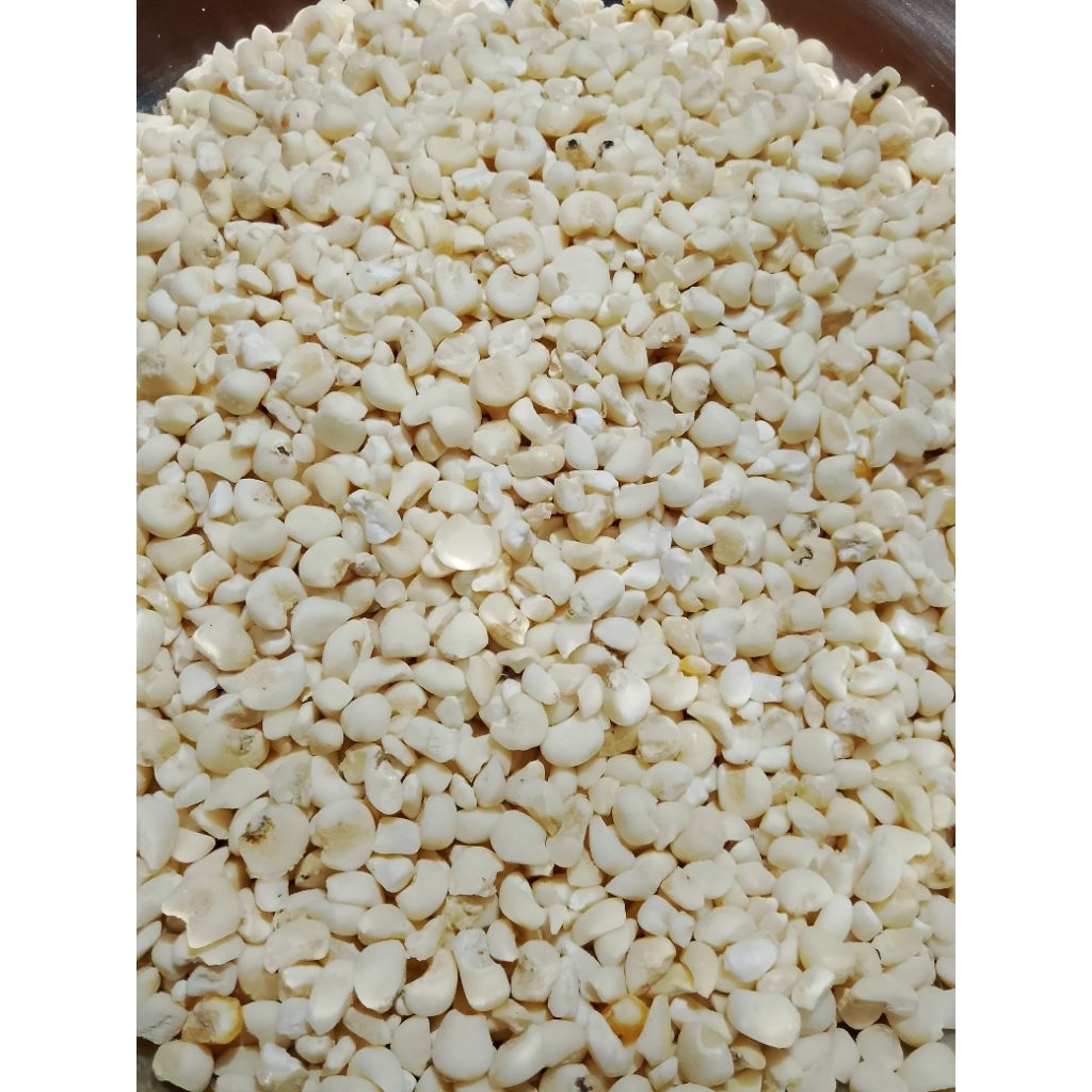 

Jagung Bose pulut 1 kg khas Kupang NTT