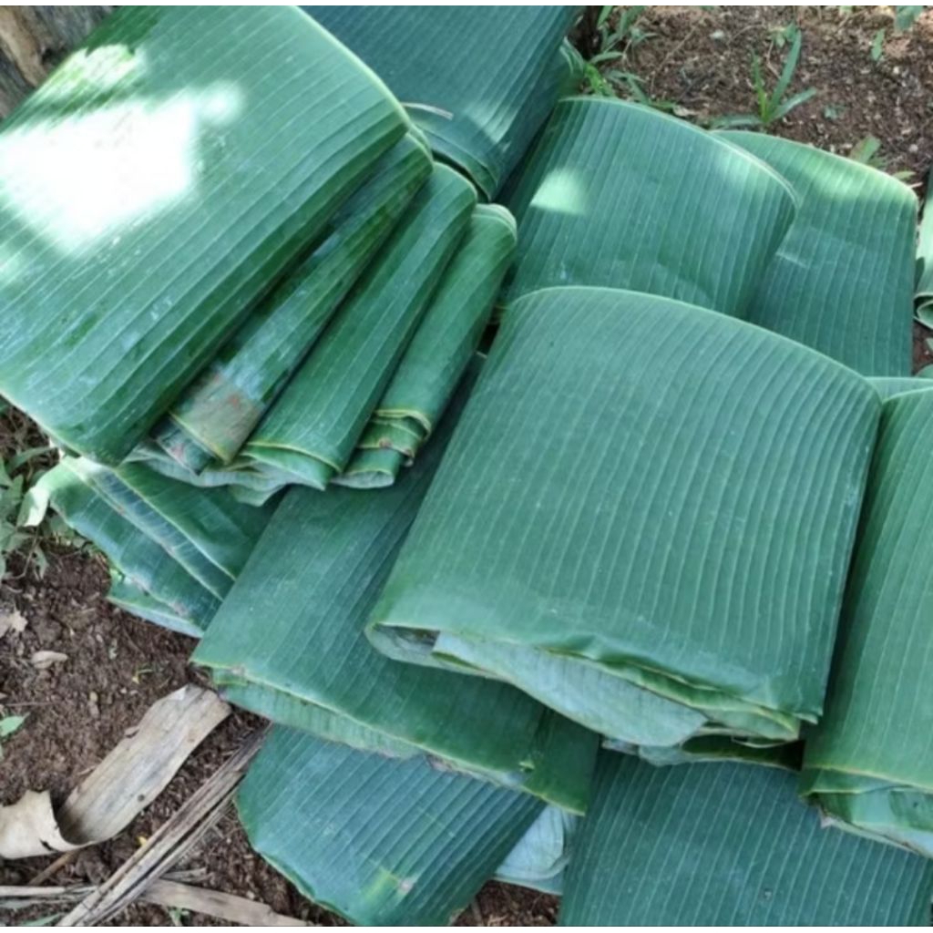 

DAUN PISANG SEGAR 10 LEMBAR