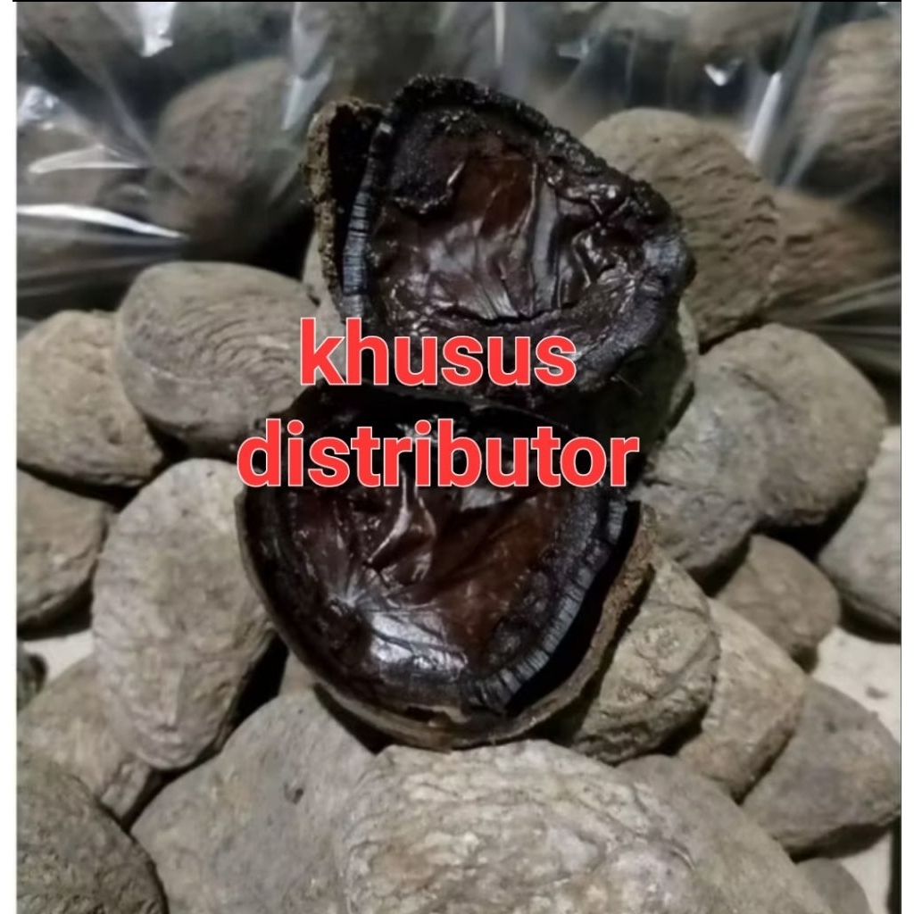 

kluwek / bumbu rawon kemasan 5kg