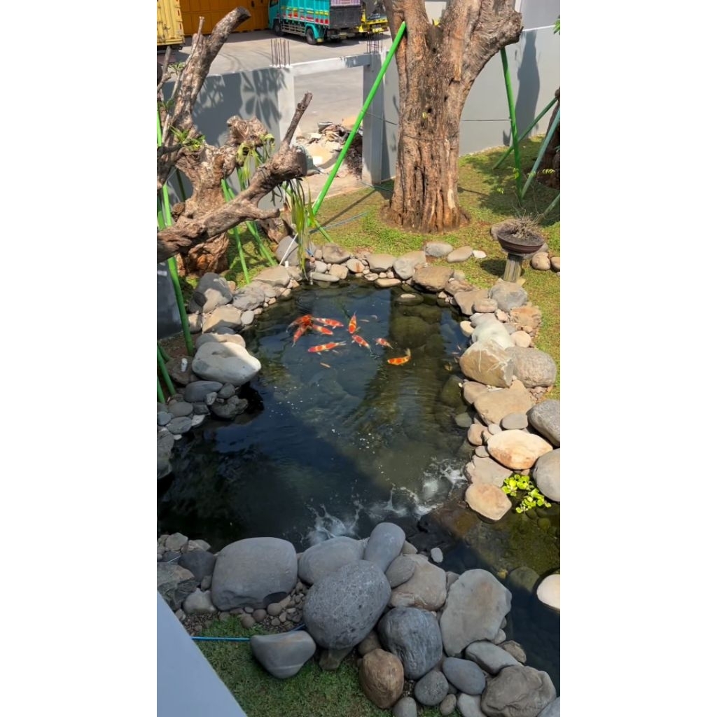JASA PEMBUATAN KOLAM IKAN/KOLAM NATURAL/KOLAM MINIMALIS/KOLAM KACA