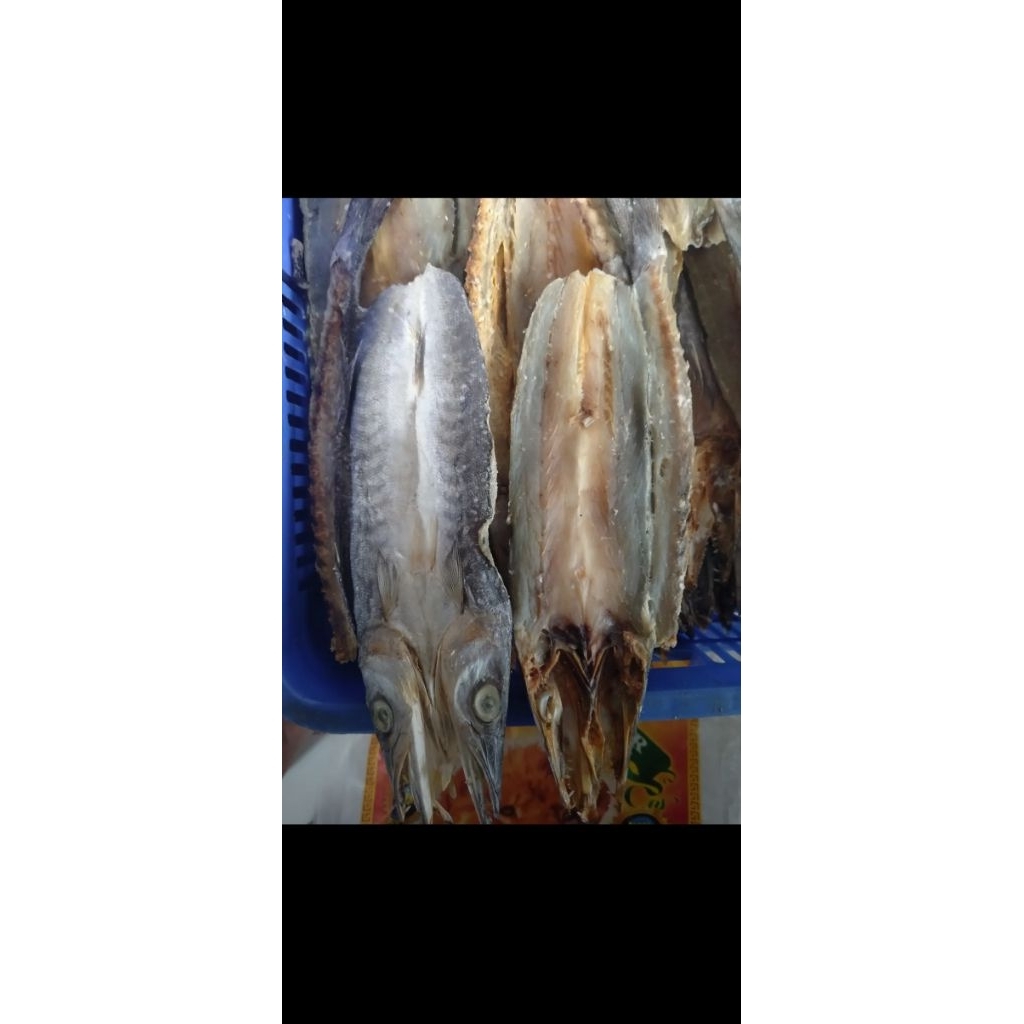 

ikan kering dolo dolo