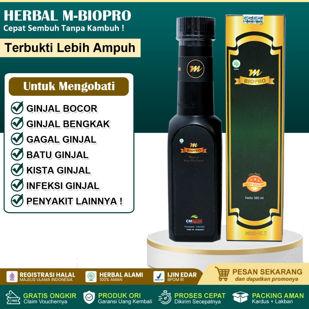 Obat Ginjal, Gagal Ginjal, Ginjal Bocor, Ginjal Bengkak, Infeksi Saluran Kencing, Penghilang Batu Gi