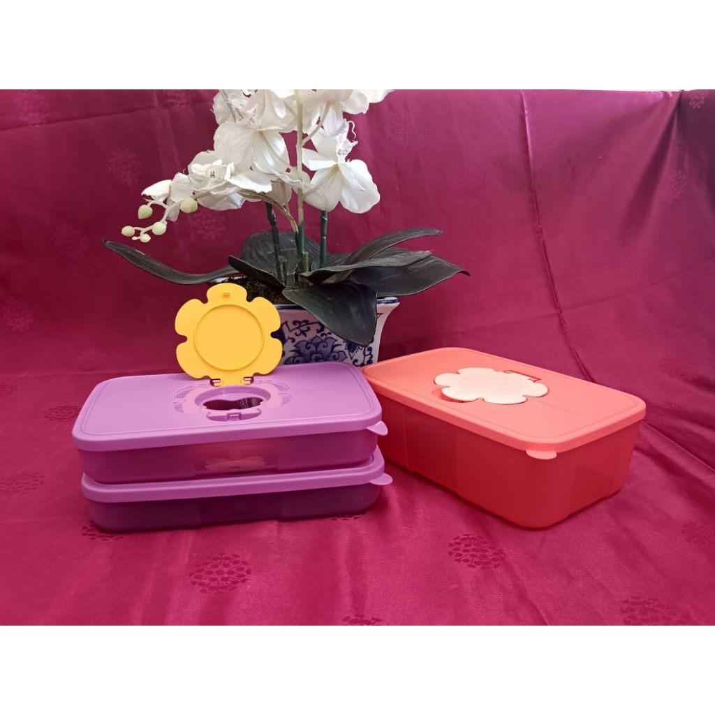 Tissue Box Tupperware
