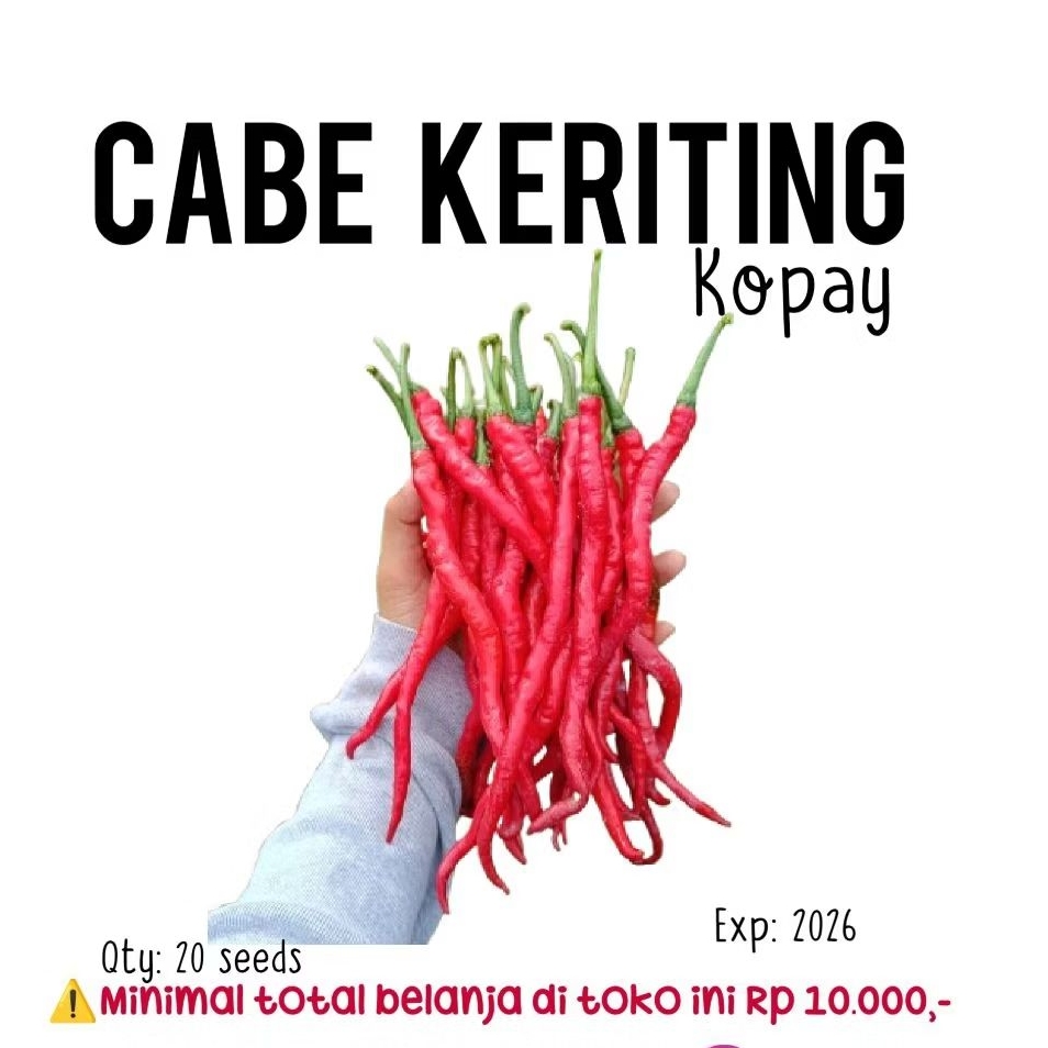 20 biji - benih cabe keriting kopay