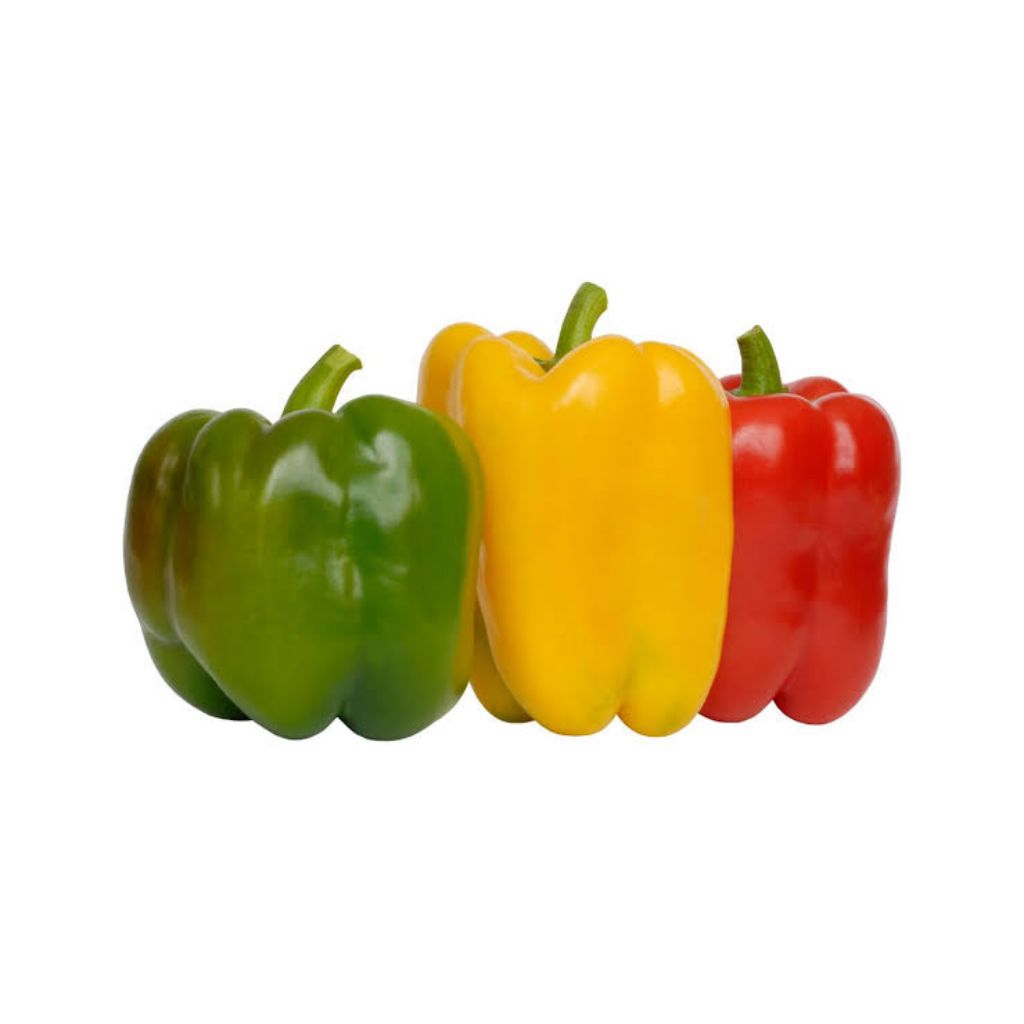 

PAPRIKA MERAH/KUNING/HIJAU