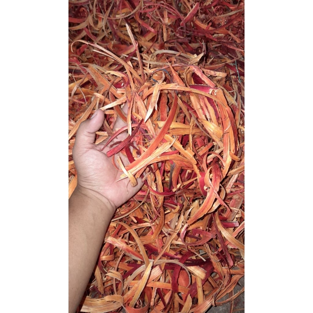 

SECANG SERUT 1KG - KAYU SECANG ASLI 100%