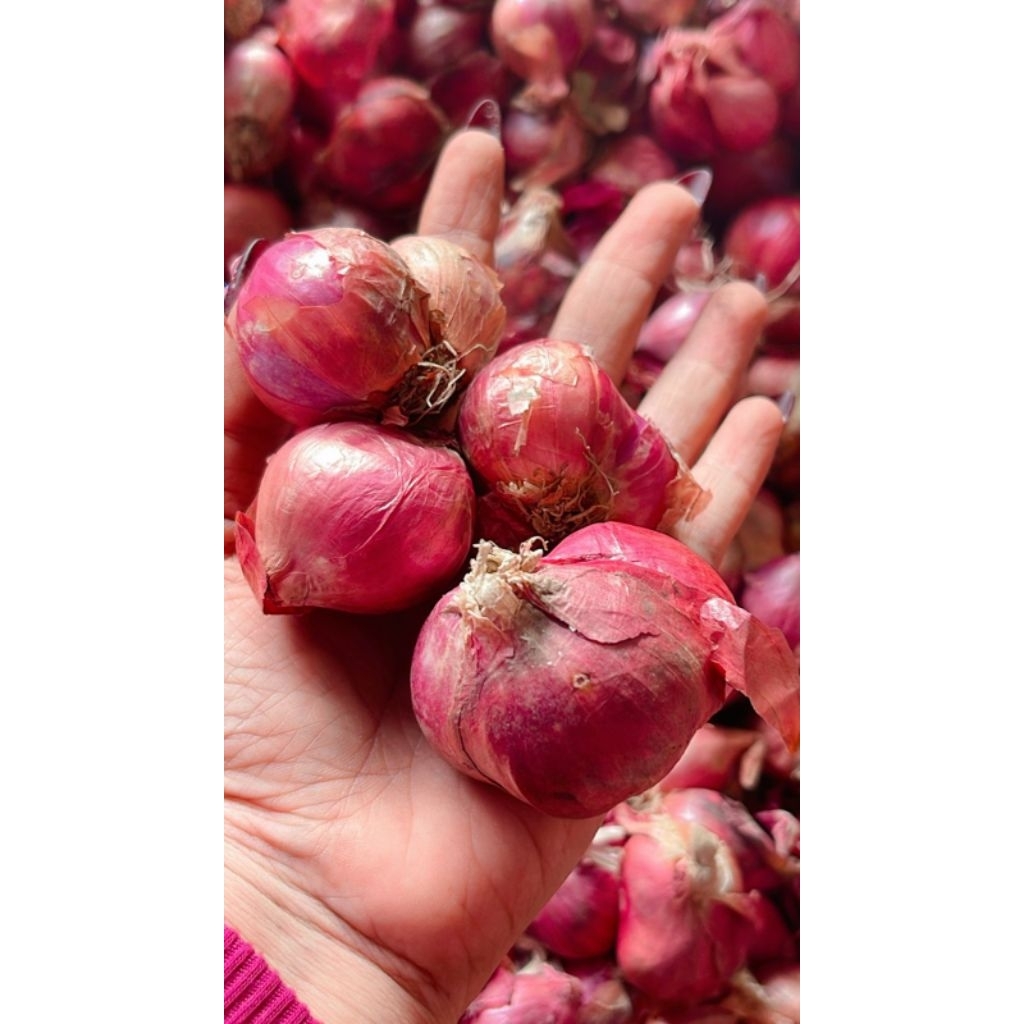 

BUMBU DAPUR | SAYURAN SEGAR | BAWANG MERAH | BAWANG PUTIH | CABE RAWIT | KENTANG