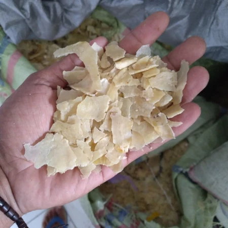 

EMPING MELINJO REMUKAN MENTAH 1KG TERLARIS