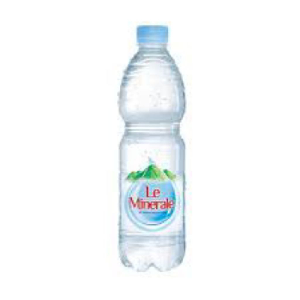 

le mineral