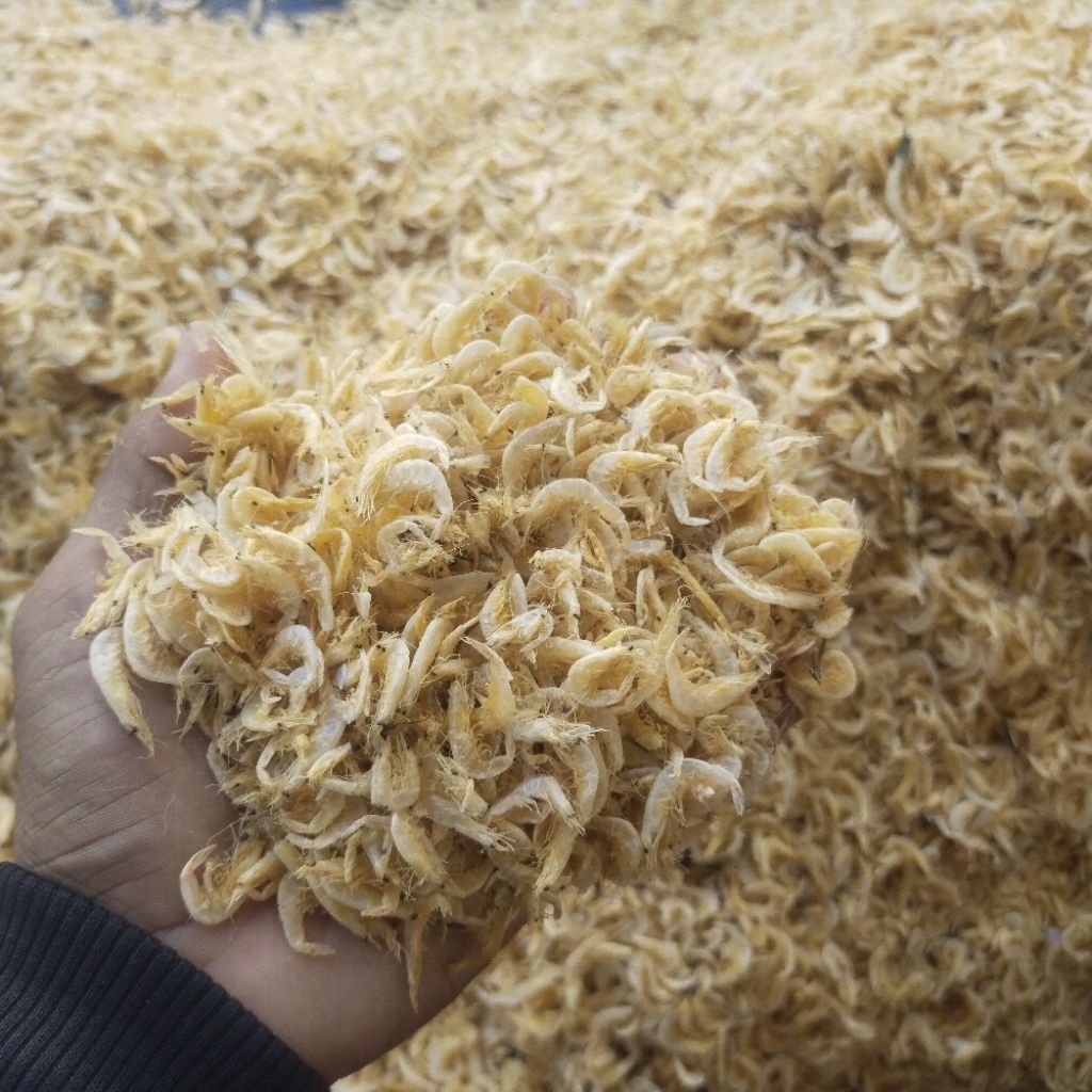 

udang rebon Premium asin 1 kg Murah