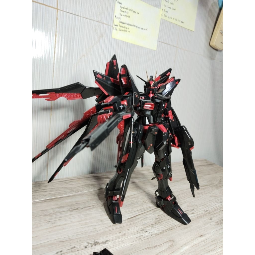 CUSTOMIZE - BANDAI STRIKE FREEDOM 1/100 MG