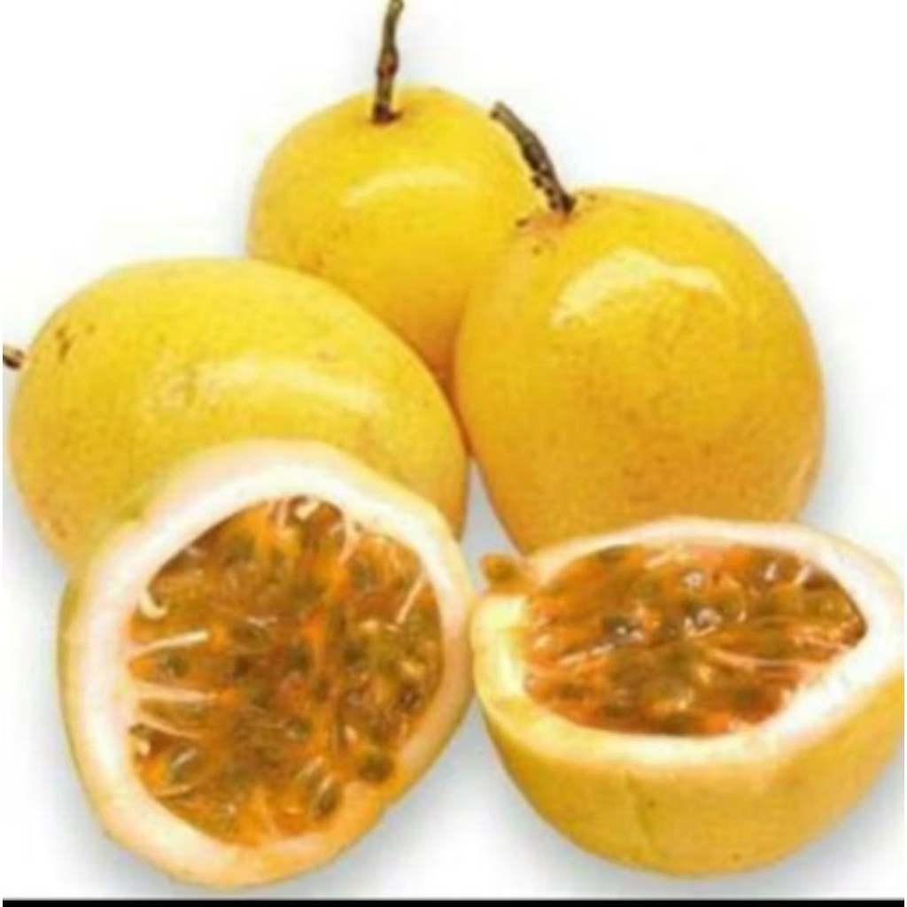 

Markisa Manis
