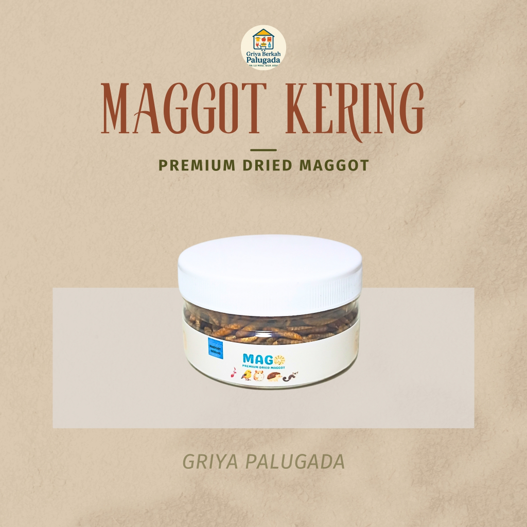 Maggot Kering (Premium Dried Maggot)