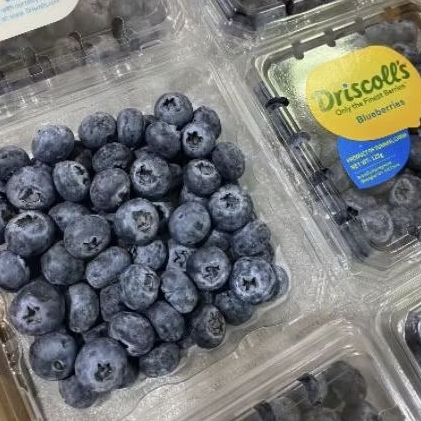 

Buah blueberry Driscoll manis pack 125 gram