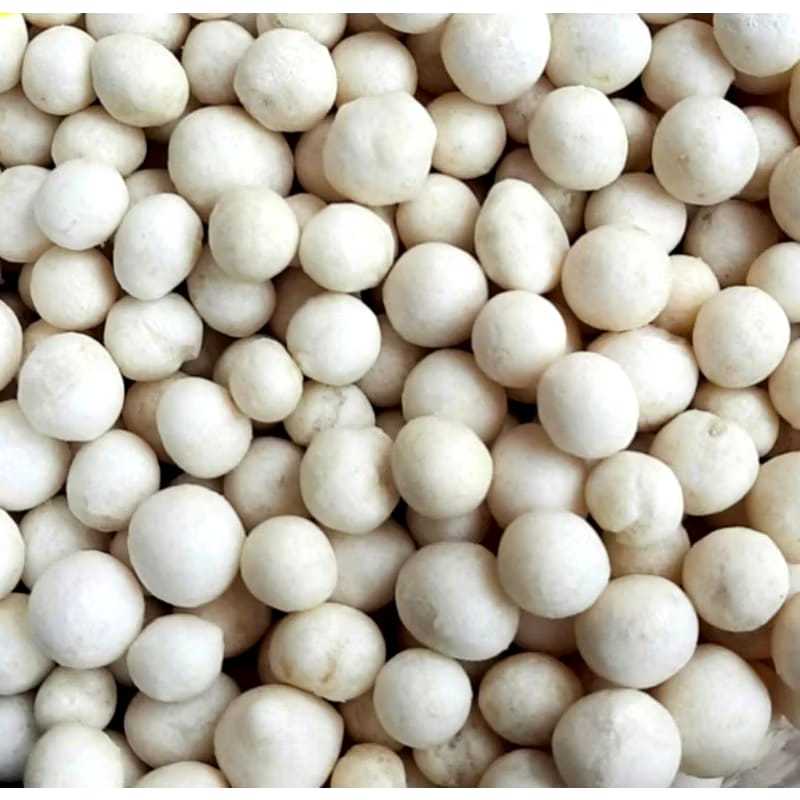 

Kacang Atom 250gram Kacang Atom Super Sukro Cikur Sari Rasa Sukro