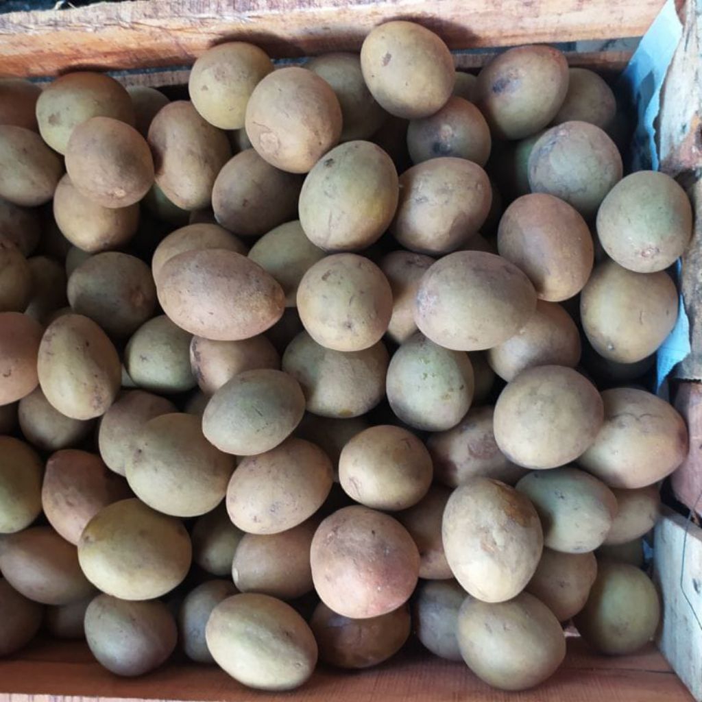 

sawo madu per 1kg