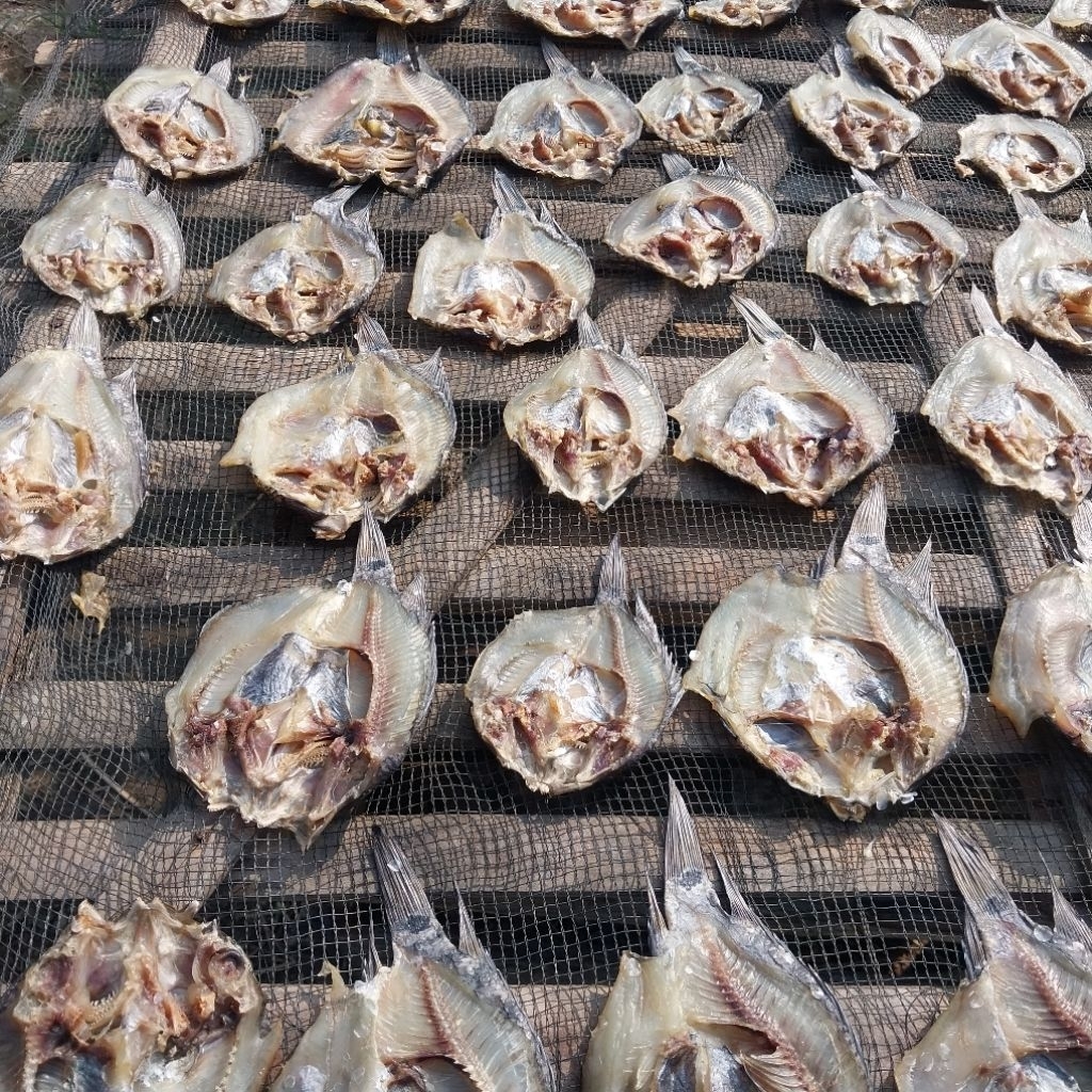

Ikan Asin Mujaer kering - kualitas premium