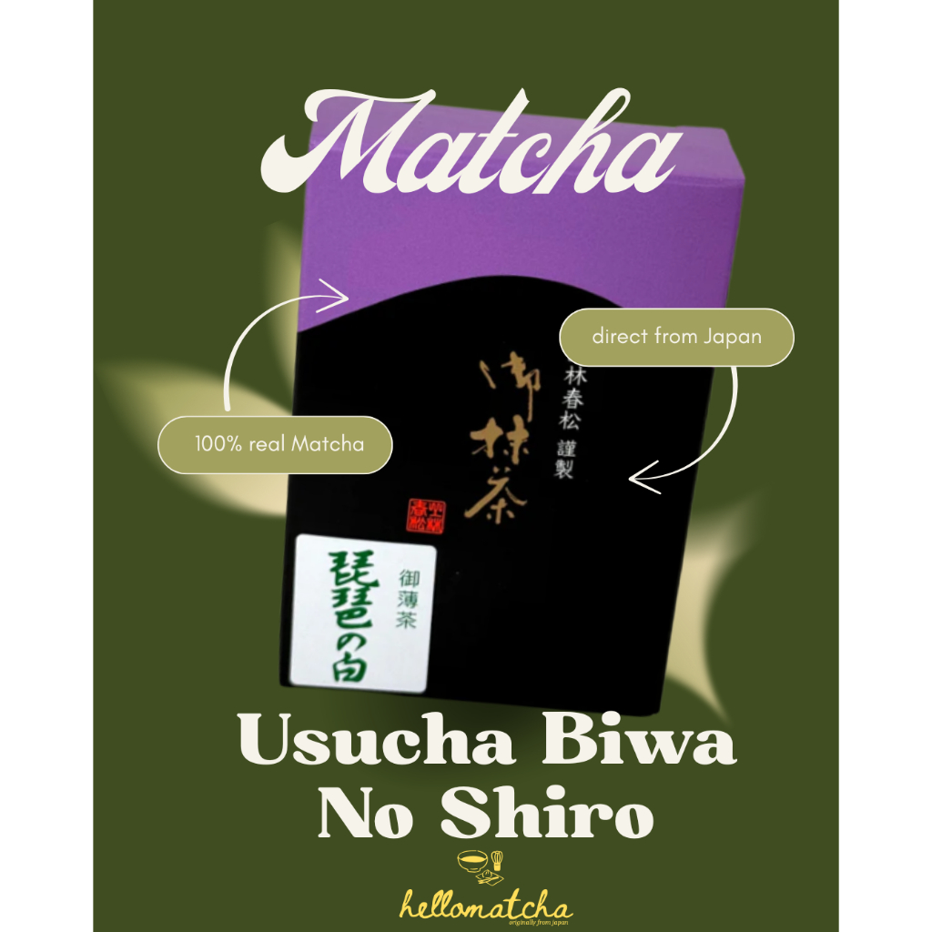 

READY Matcha Usucha Biwa No Shiro