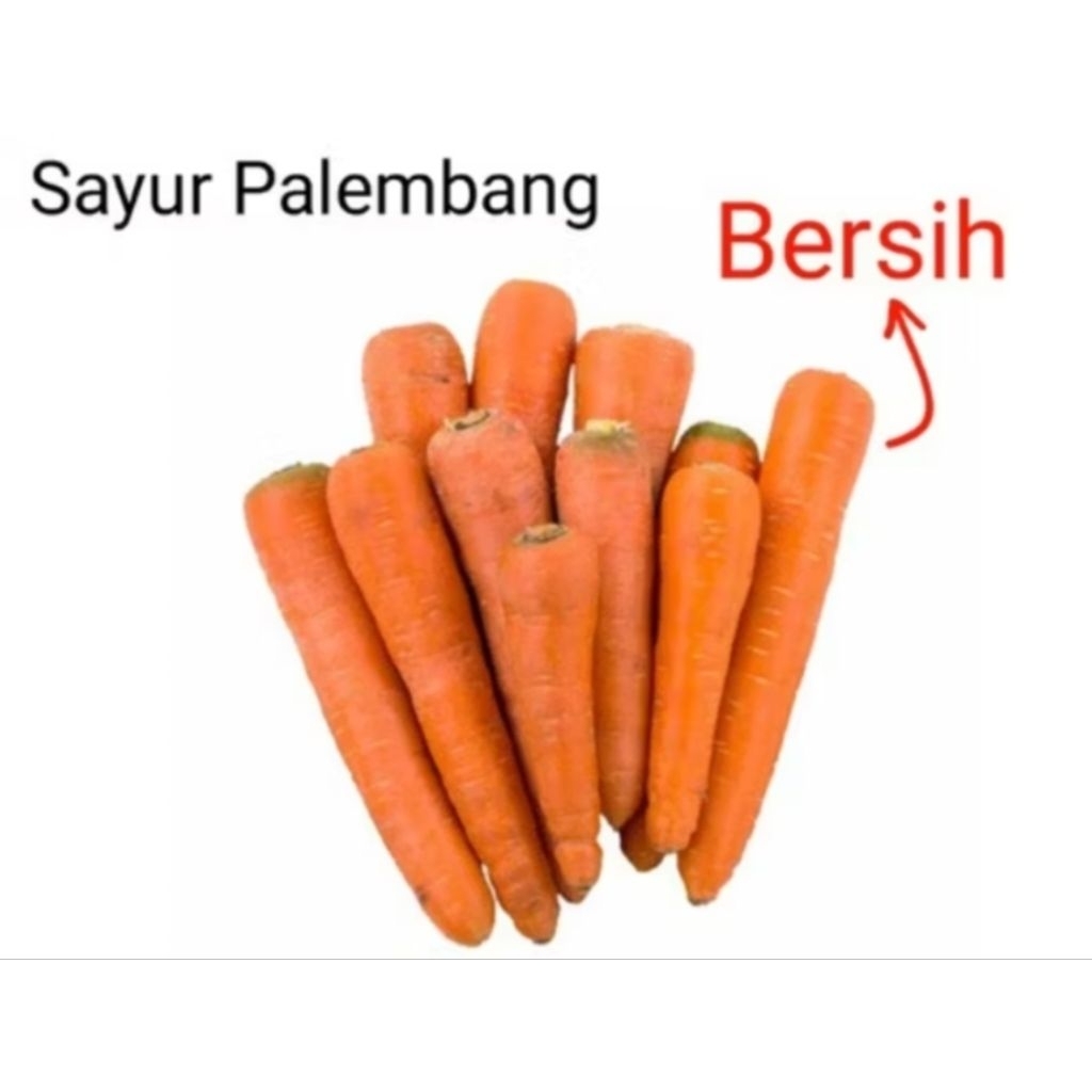 

WORTEL LOKAL - Palembang