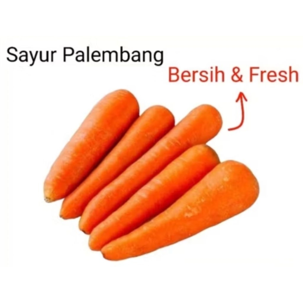 

WORTEL ORGANIK - Palembang