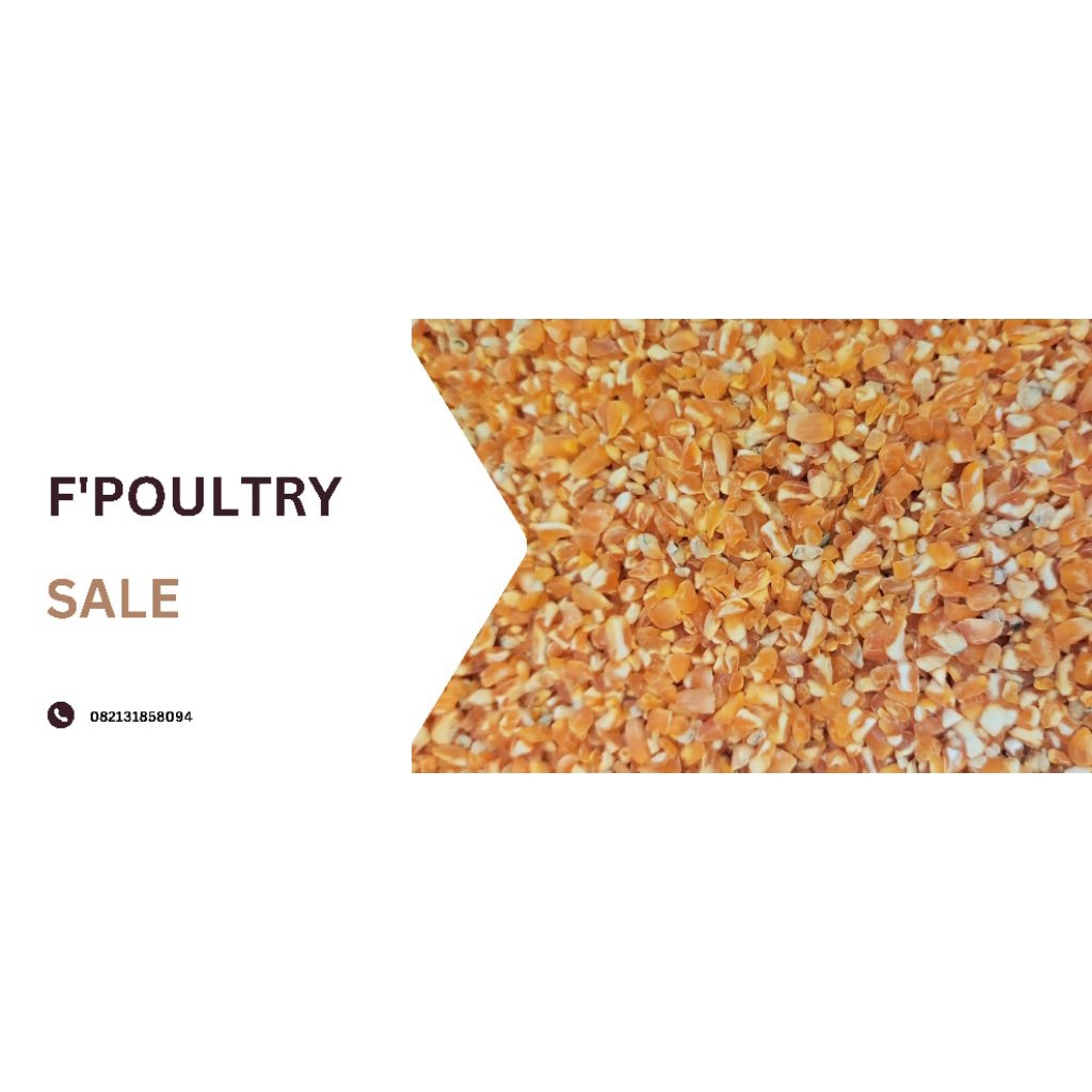 

jagung premium(10kg)