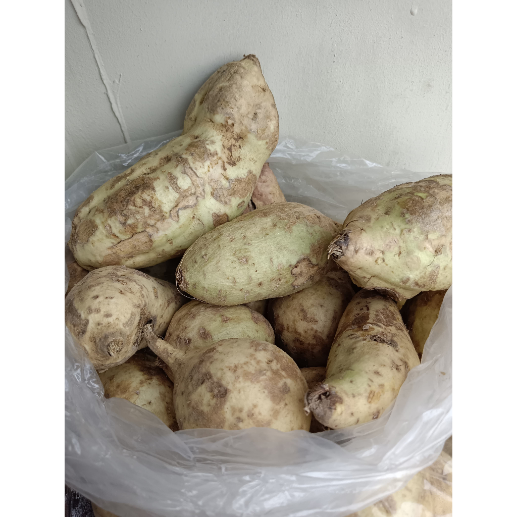 

Ubi Jalar Putih Segar 1 Kg