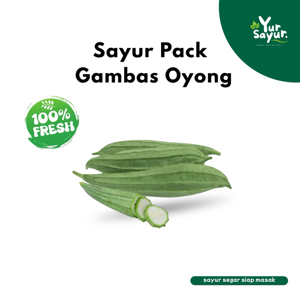 

YUR SAYUR - Gambas Oyong Harian Fresh Panen Kualitas Terbaik