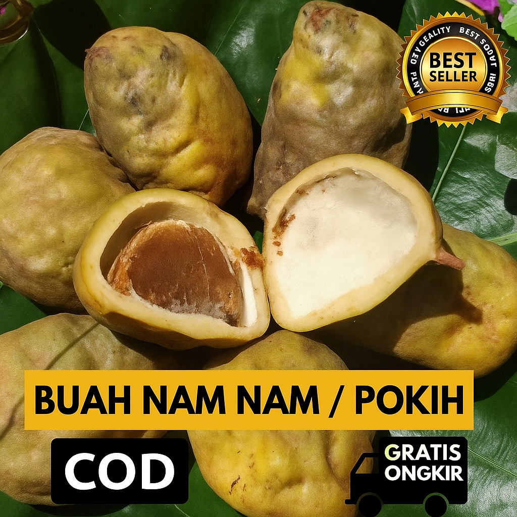 

Buah Pokih Segar – Buah Liar Khas Nusantara | Rasa Asam Manis Unik