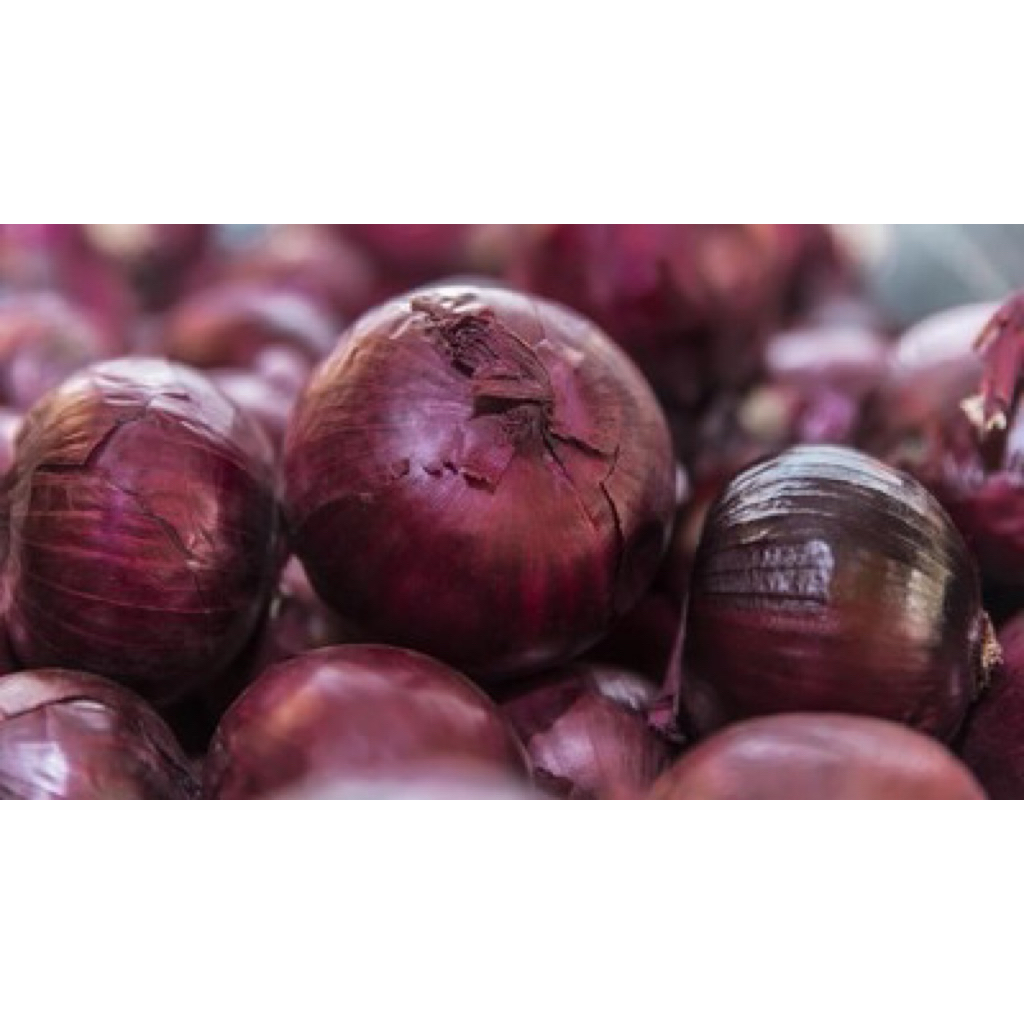 

Bawang Bombay Ungu 250gr / 500gr / 1kg