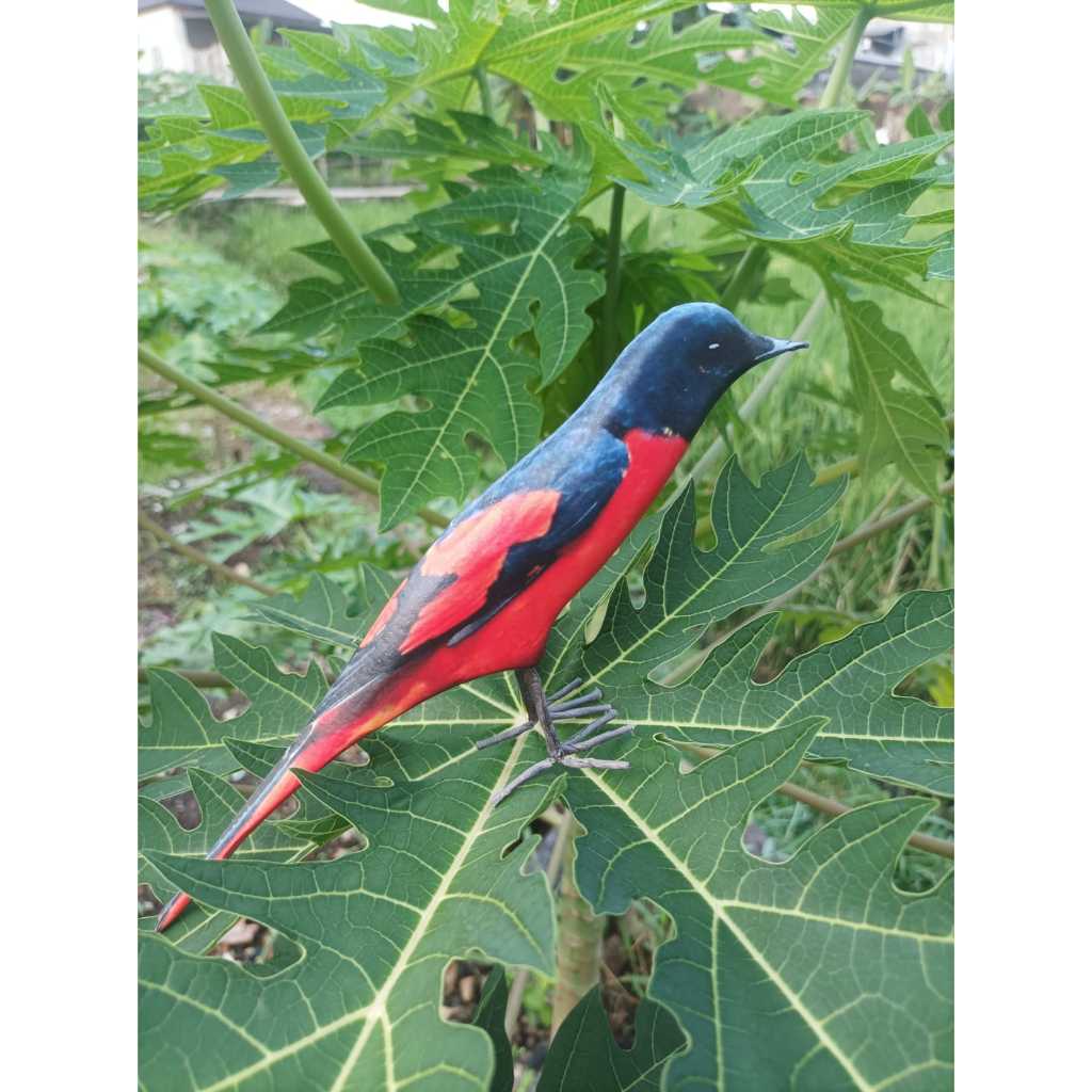 JONTROT BURUNG OCEHAN MIRIP ASLI PIKAT MANUK KICAU TAHAN PENYOK ANIS KACER MURAI SOGON PERKUTUT CAK 