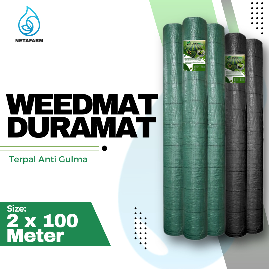 WEEDMAT DURAMAT-SP TAK 2X100 - 1 roll