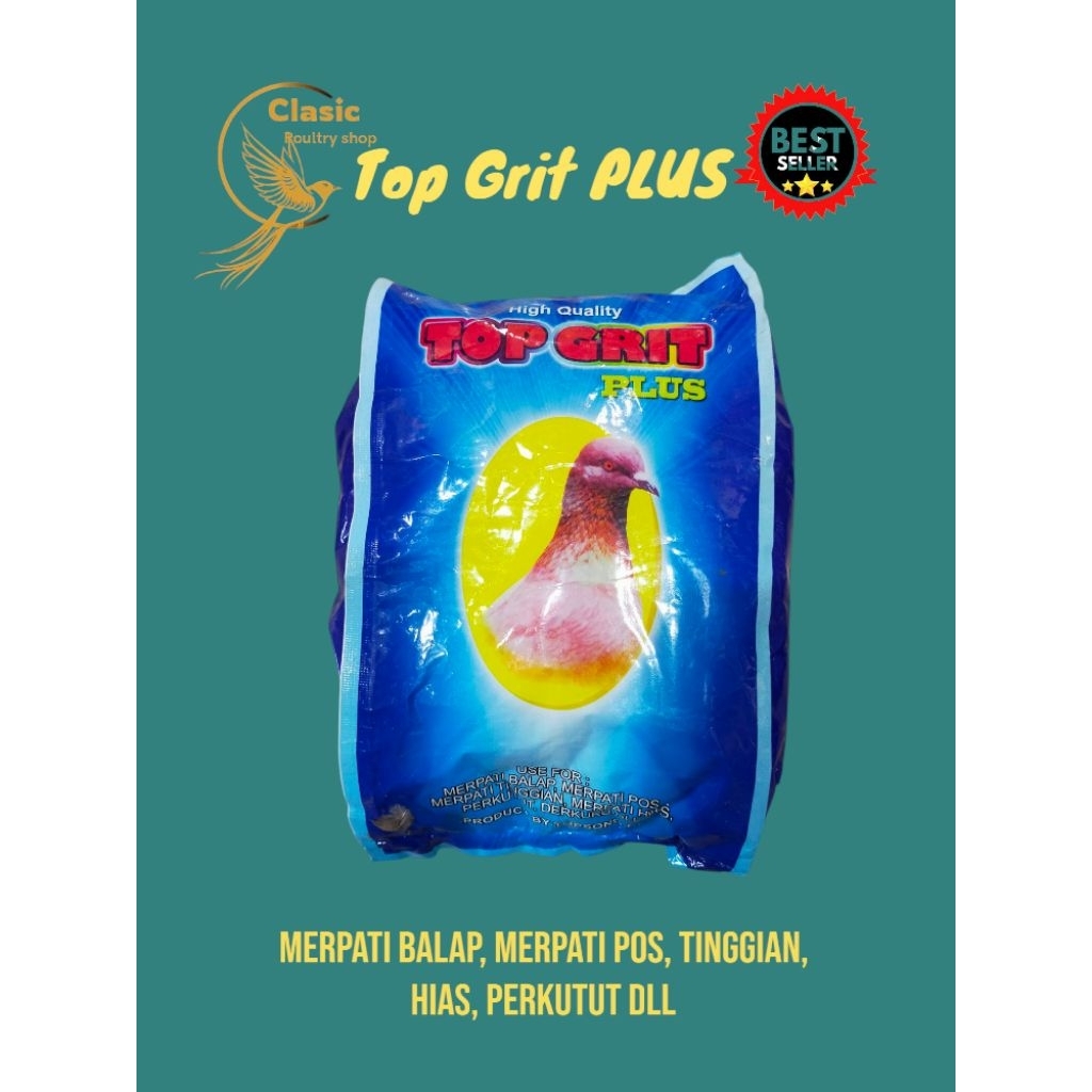 TOP GRIT MERPATI