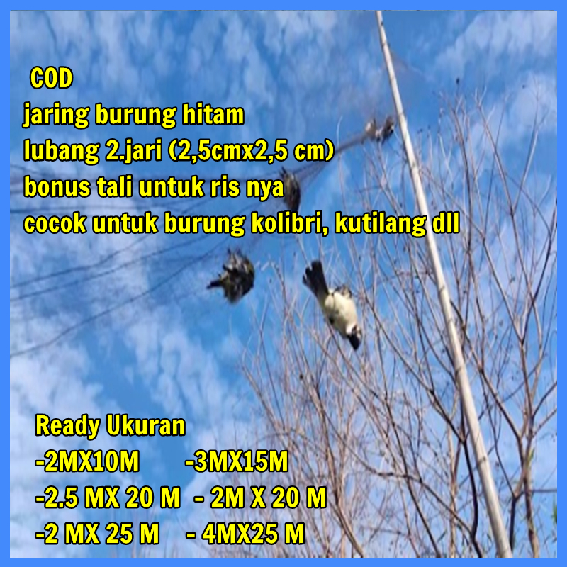 JARING PERKUTUT JALA BURUNG PERKUTUT SIAP PAKAI JARING BURUNG HITAM