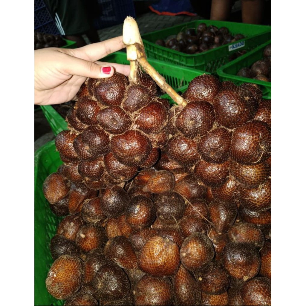 

Salak pronojiwo manis 2kg