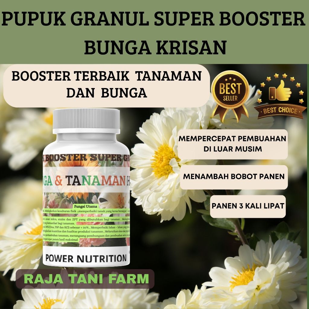RTF Pupuk Super Booster Granul Buat Bunga Krisan Mempercepat Pertumbuhan Pupuk Penyubur