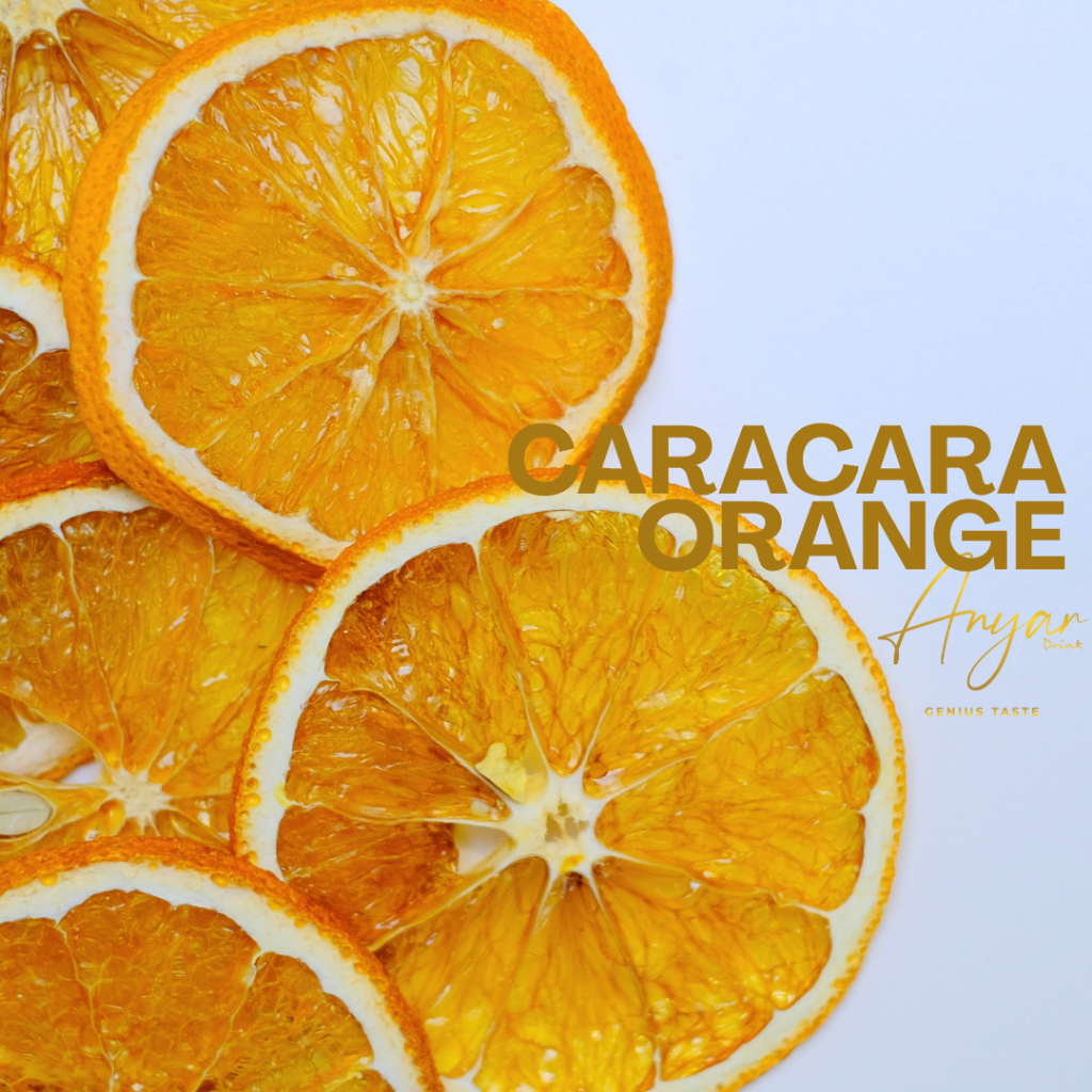 

Anyar Drink - Dried Orange Slice Premium 50gram - Dried Fruit Orange - Jeruk Iris Kering - Buah Kering Slice - All Varian