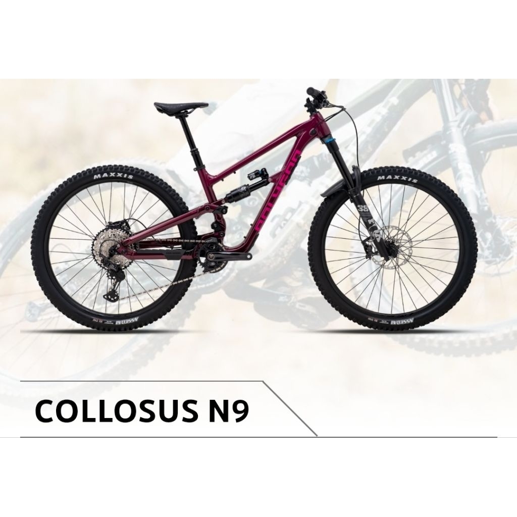 Sepeda MTB COLLOSUS N9 POLYGON sepeda gunung
