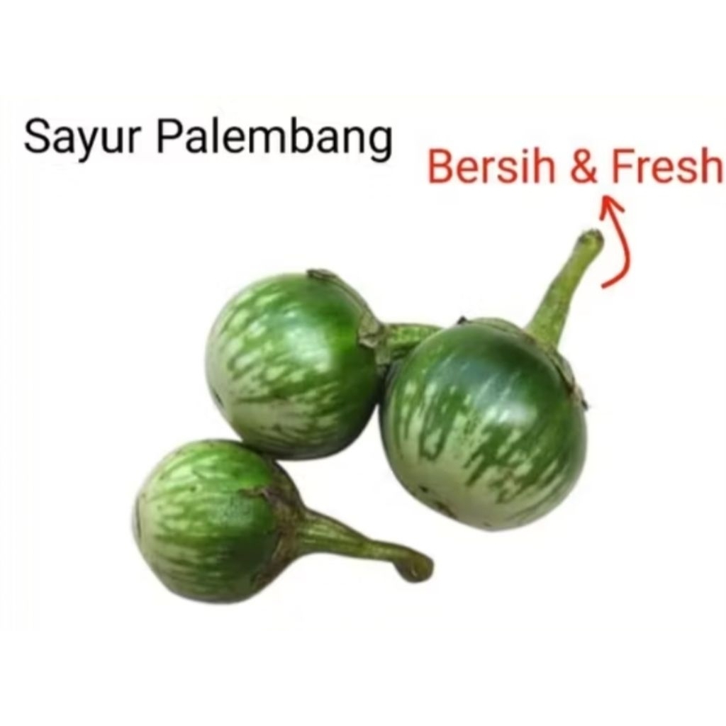 

TERONG LALAPAN - Palembang